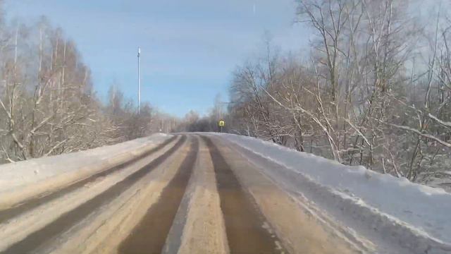 #180. Куда смотрят треноги? Чем думают автолюбители? смотреть онлайн