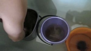 Фильтр aquael fan 3, внутренний фильтр для аквариума.
