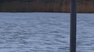 ноябрь рыбалка Тюмень