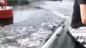 Honda BF2 3 Лодка Bark BT310