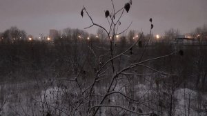 Ховринская заброшенная больница. ХЗБ. Места обязательные к посещению. Часть 2.