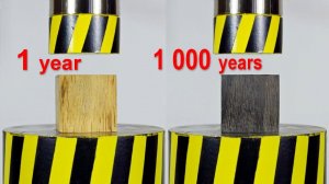 HYDRAULIC PRESS VS WOOD OF DIFFERENT AGES