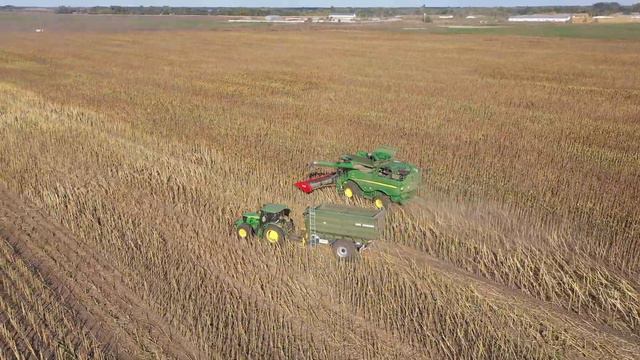 Уборка подсолнуха 812 16 09 2021 смотреть онлайн