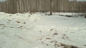 Домик в деревне. Тепло пришло. Колим дровишки и гуляем