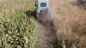 ДОБЫЧА КАРТОФЕЛЯ НА тракторе Т-40 и МТЗ-80 / Урожай 2021 / Копаем картошку