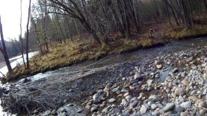 Однодневная рыбалка на хариуса по р.Чехан (Таштыпский район, Хакасия)