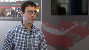 ОТЗЫВ ОТ РАБОТНИКА ТОМСКОГО ОБЛАСТНОГО КРАЕВЕДЧЕСКОГО МУЗЕЯ