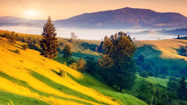 НИКУДЫШНАЯ ЖЕНА И МАТЬ. Истории из жизни. Удивительные истории. Интересные рассказы