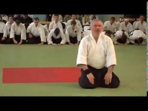 Айкидо Стефан Бенедетти и Нобуёси Тамура