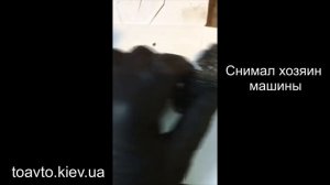 Фильтр на антифриз для промывки системы охлаждения двигателя автомобиля.