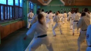 Кекусинкай каратэ. Семинар 2013.12. Москва