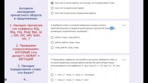 7 класс: 1 четверть. Работа над ошибками в контрольном тесте.