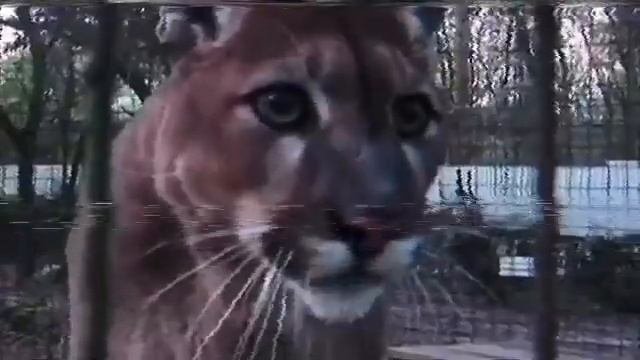 сфетофор как метафора жизни