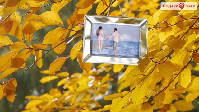 "Осенний листопад" Подари Трек. смотреть онлайн