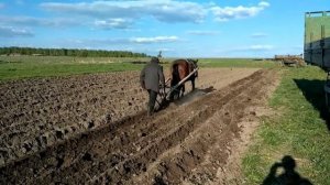 Если трактор не завелся лошадь и соха приходят на помощь