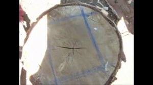 Как рубить дрова?►колуном►О_О