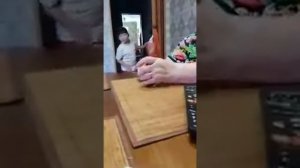 Самая лучшая в мире, самая умная и хитрая собака породы Шит-су, шитцу Боня .