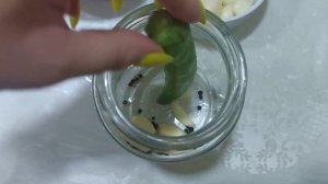 Горький стручковый зелёный перец на зиму. Простой и вкусный рецепт за 5 минут. Аcı bibər turşusu.