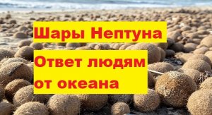 Ответ океана на загрязнение поражает. Океан сам придумал, как бороться с пластиковым мусором.