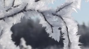 рыбалка зимой 2021 г