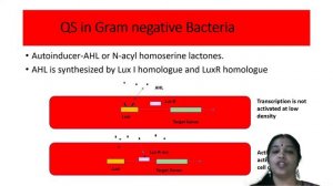 QUORUM SENSING AND QUENCHING II AGRICULTURE MICROBIOLOGY