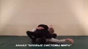 ч16-4 Submission #Crucifix, Position Mount, #ММА, #болевые приемы в партере