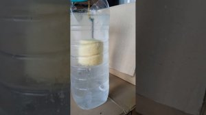 готовимся на рыбалку на толстолоба