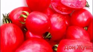 "Дон Жуан" - яркий, вкусный сорт не оставит равнодушными даже самых искушенных
