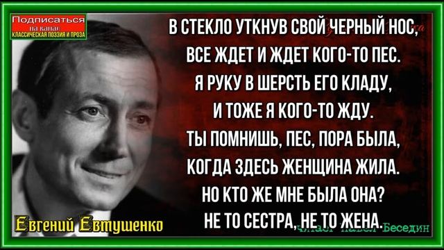 Мой пёс ,Евгений Евтушенко, Советская Поэзия , читает Павел Беседин