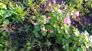 Получила во сне предупреждение о смерти,как избежать