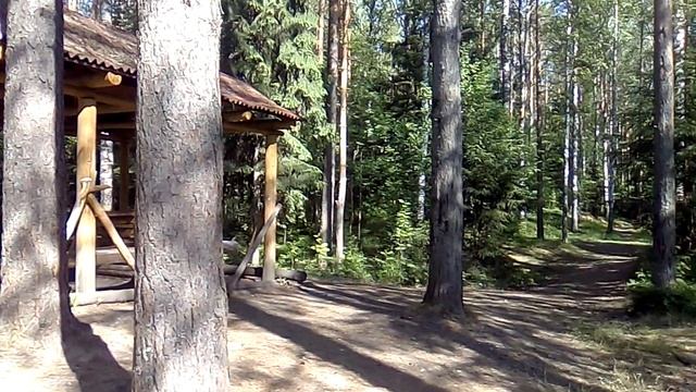 Озеро у спорт базы в Токсово. Ленинградская область смотреть онлайн