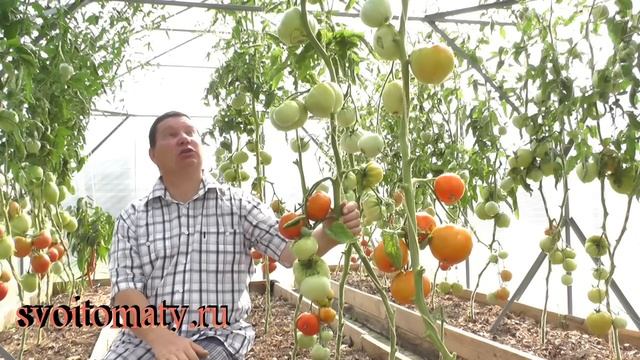 Бычий лоб смотреть онлайн