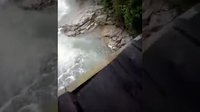 Приколы с животными лягушка прыгает с высокого моста смотреть онлайн