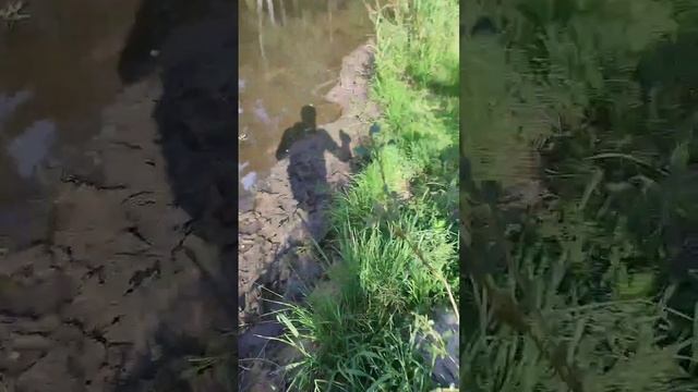 Отпустил улов