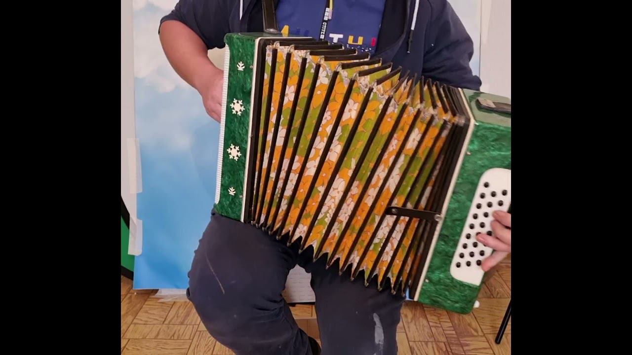 То не ветер ветку клонит. Гармонь Восток. смотреть онлайн