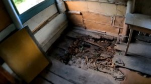 Купили заброшенную дачу #7 серия. Собрали первый урожай. Разобрали пристройку.
