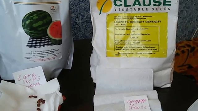 Как проверить семена на всхожесть. Готовимся к посевной. смотреть онлайн