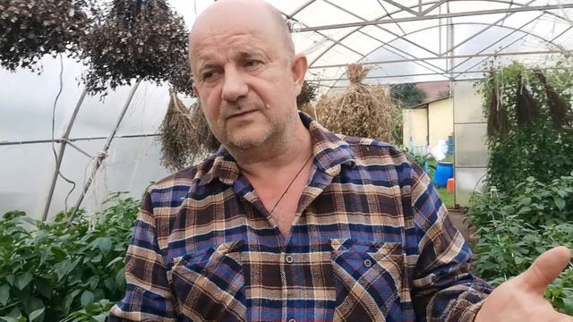 КАК ОЧИСТИТЬ ПОЧВУ ОТ ТОКСИНОВ И ХИМИКАТОВ! Как сделать почву экологически чистой! смотреть онлайн