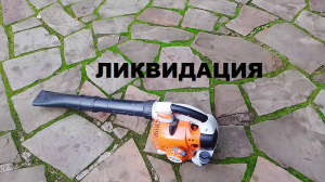листья.mp4