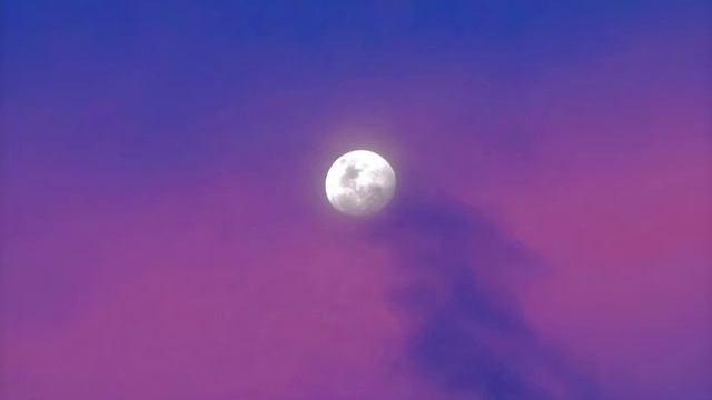 Amarilli mia bella - Giulio Caccini (1545 - 1626) смотреть онлайн