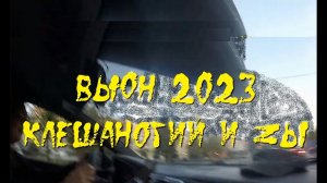 Марафон Вьюн 2023.  Клешаногий и Zы