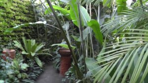 Тайланд.Pattaya,Nong Nooch Garden (часть 1)