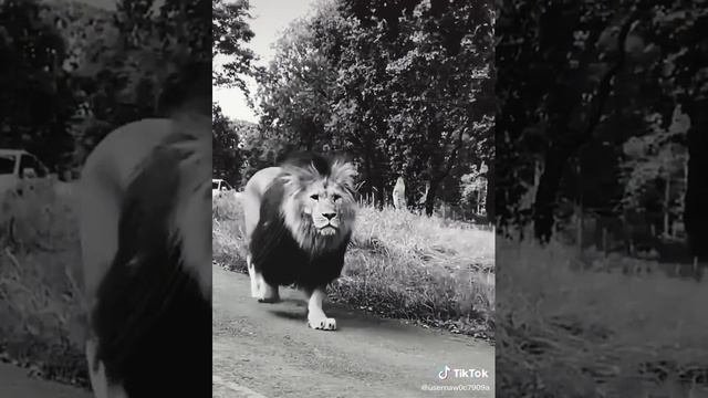 правильные слова