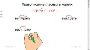 Русский язык. Гласные в корнях -ТИР- /-ТЕР- с чередованием.
