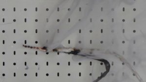 5 ошибок при расключении распределительных коробок.