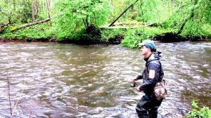 Ловля ручьевой форели