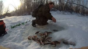 Ловля окуня на малых реках Сибири. Окунь в январе в глухозимье.