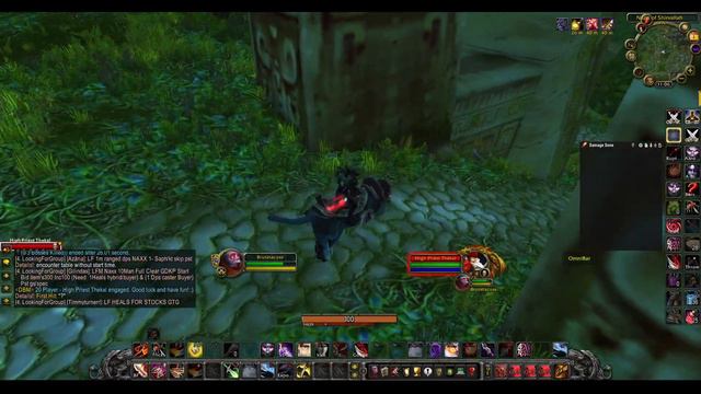 WOTLK Classic - ZG Tiger Boss Glitch - Rogue смотреть онлайн