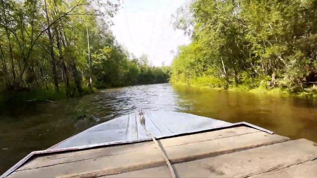 На моторной лодке по узкой реке. #Лето #Красота #suzuki смотреть онлайн