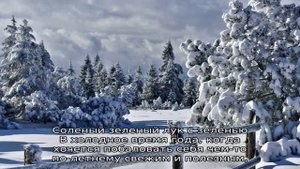 Лучшие рецепты, как посолить зеленый лук на зиму быстро и просто
